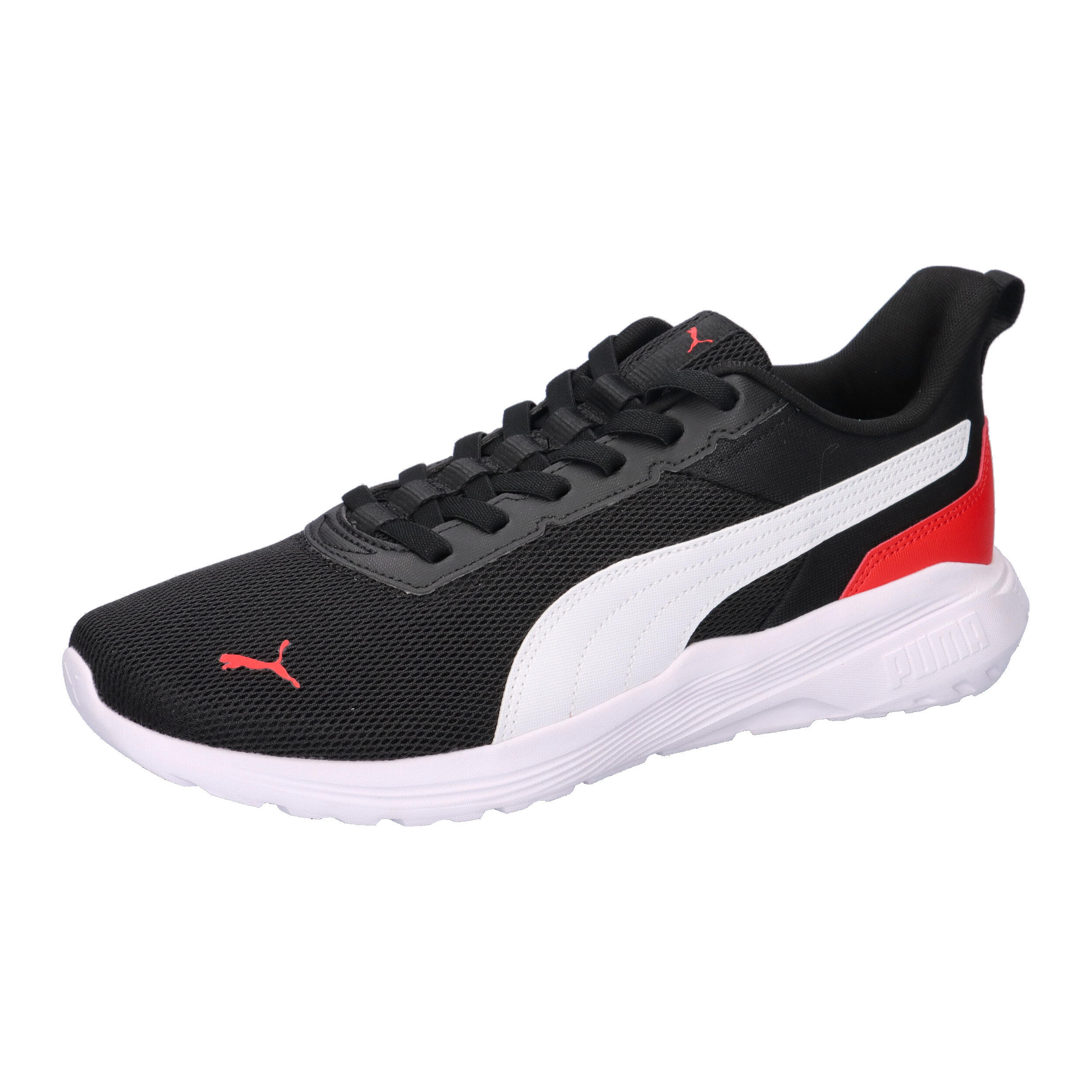 PUMA picture