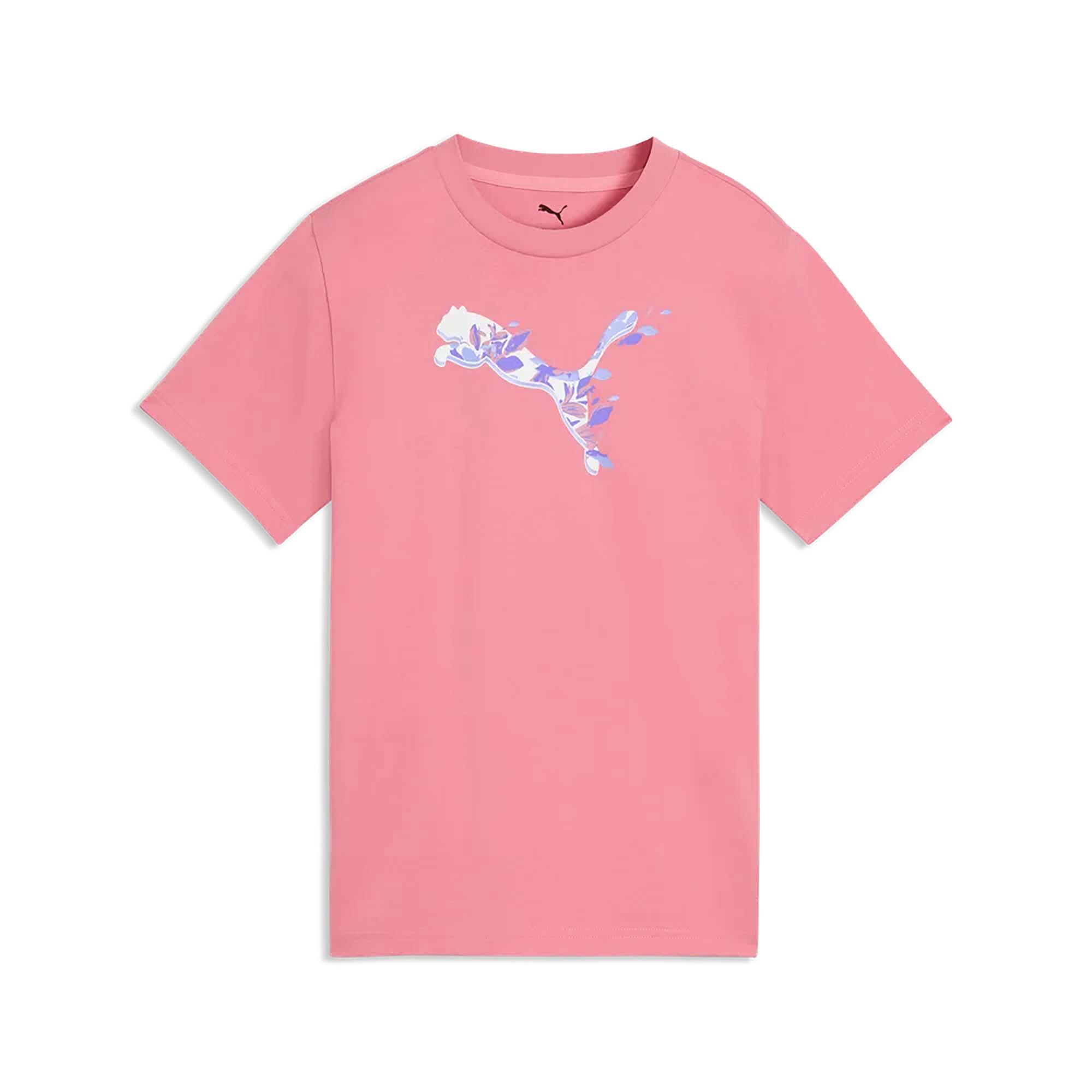 PUMA picture