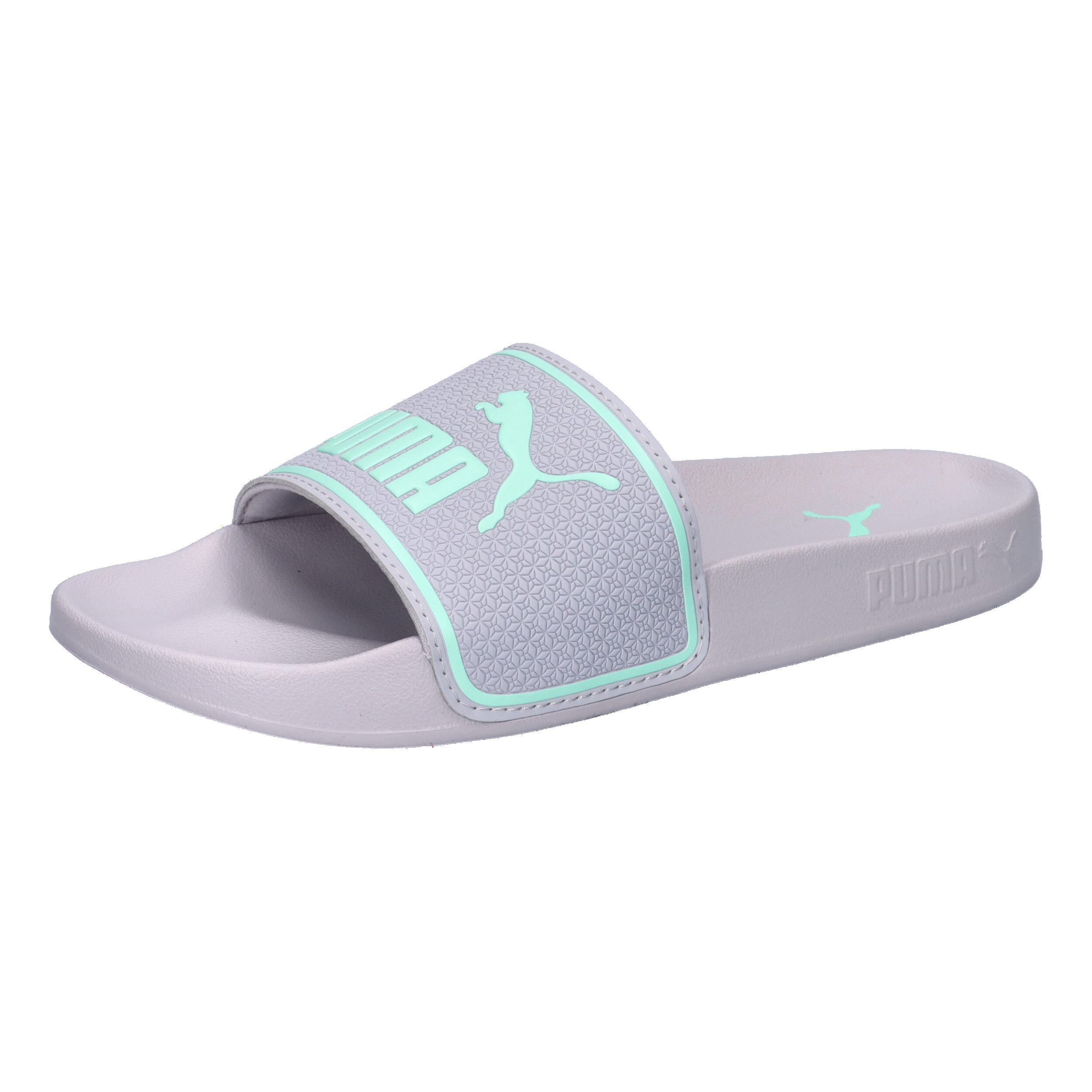 PUMA picture