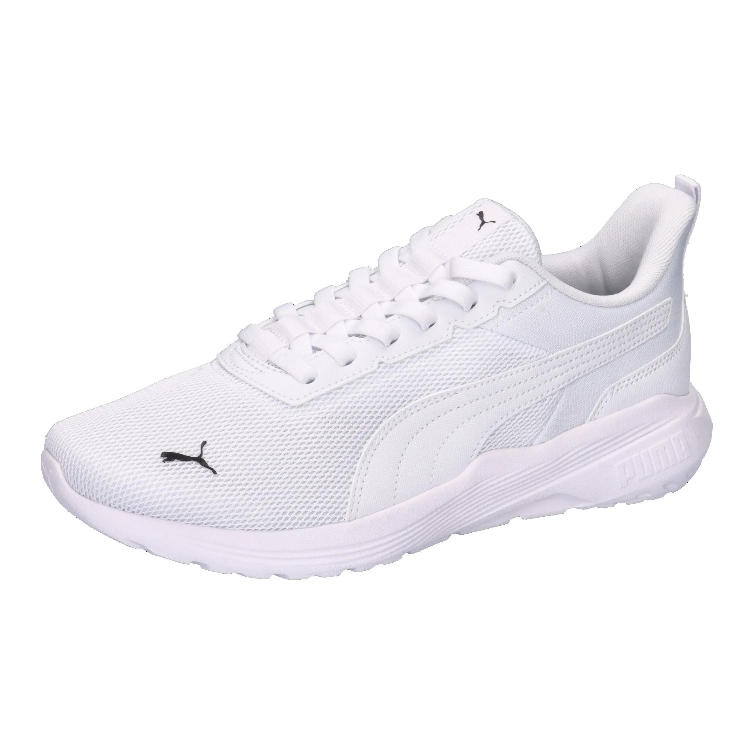 PUMA picture