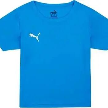 T-shirt Puma Teamrise Matchday Jr, Blue, Kids