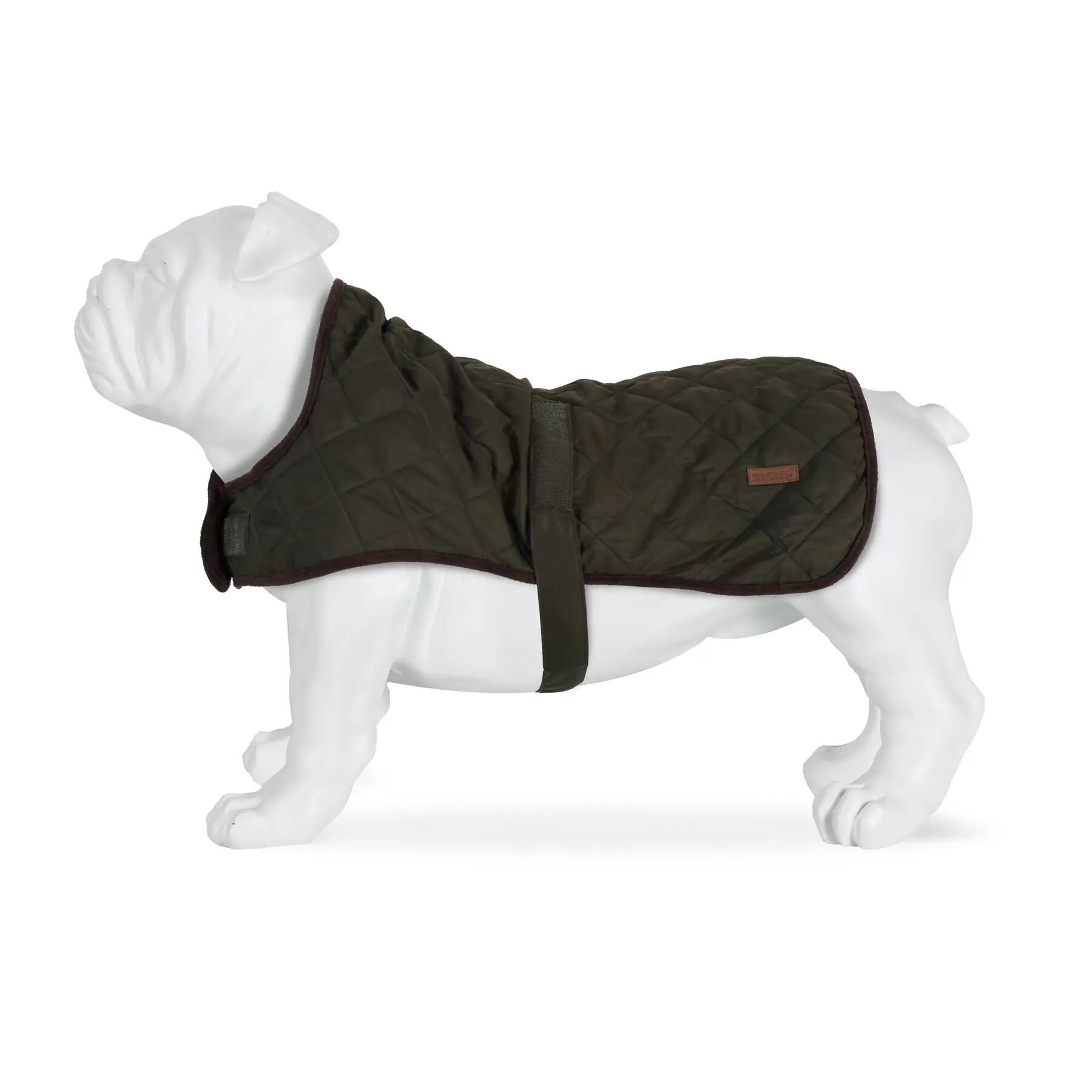 Hundemantel Regatta Odie 2/2