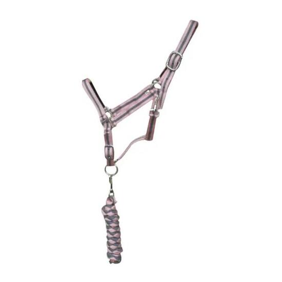 Licol pour cheval double + longe T de T