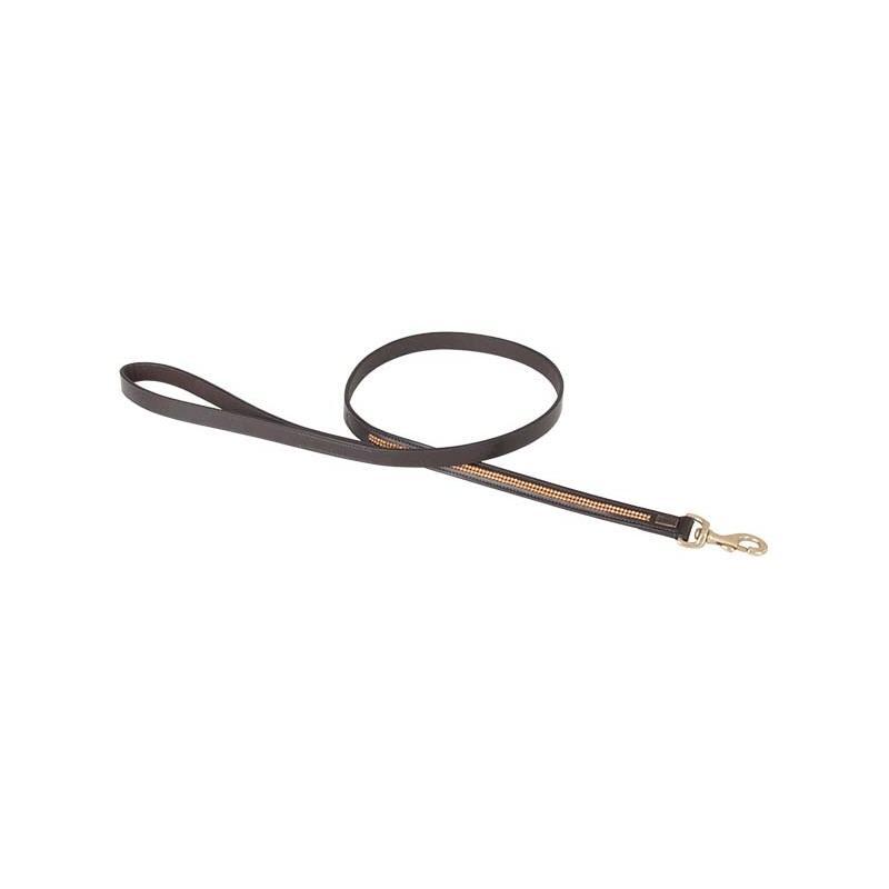 Dog leash T de T Strass