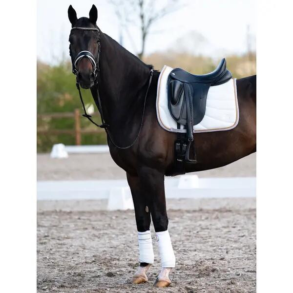 Bandes de polo pour cheval PS of Sweden Airflow Mesh (x2) 3/3