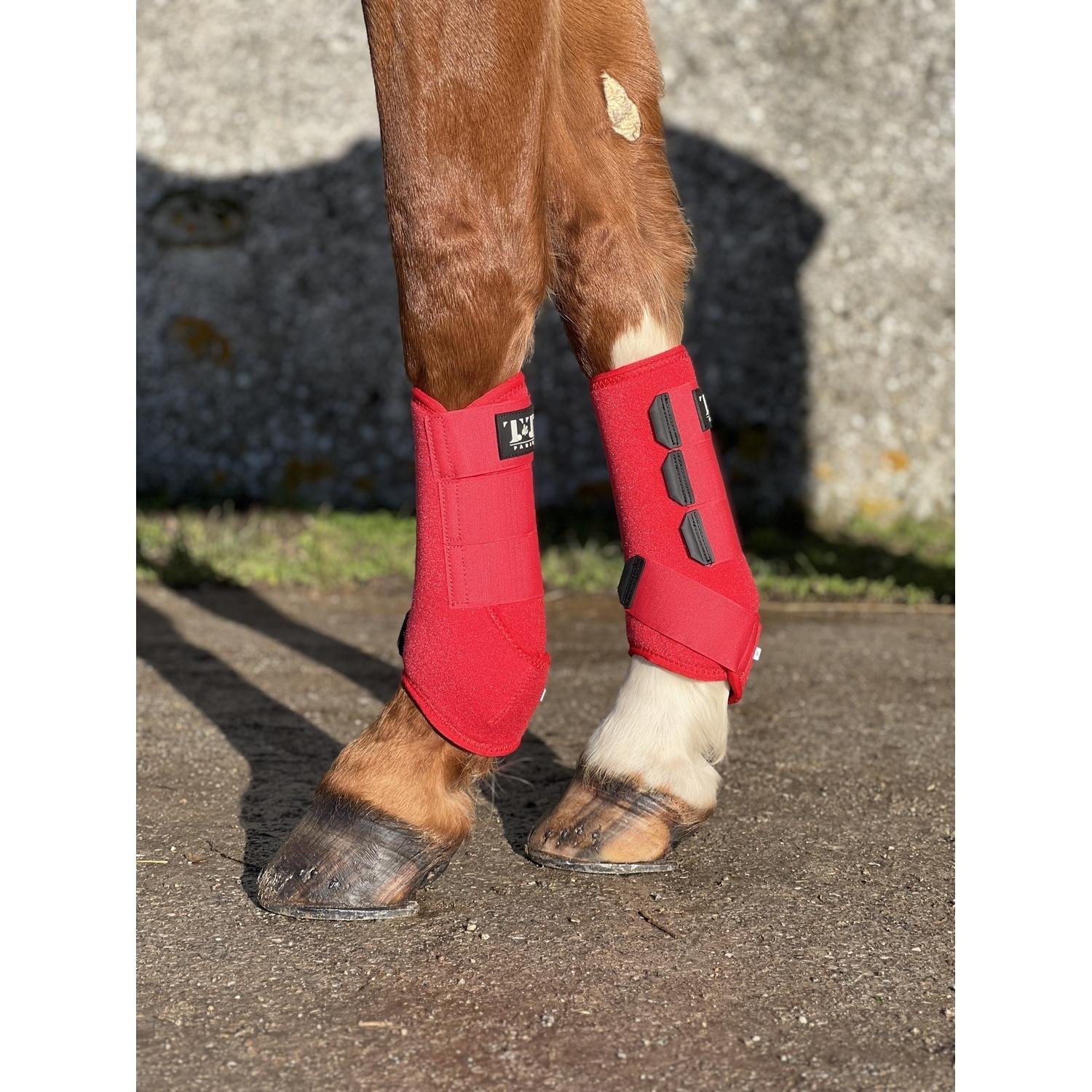 Neoprene horse gaiters T de T 2/4