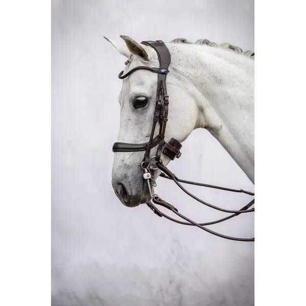 Bramble doppio equitazione PS of Sweden Paragon 2/3