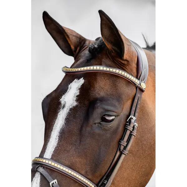 Frontaal voor paard PS of Sweden Gold Clincher Pro 2/2