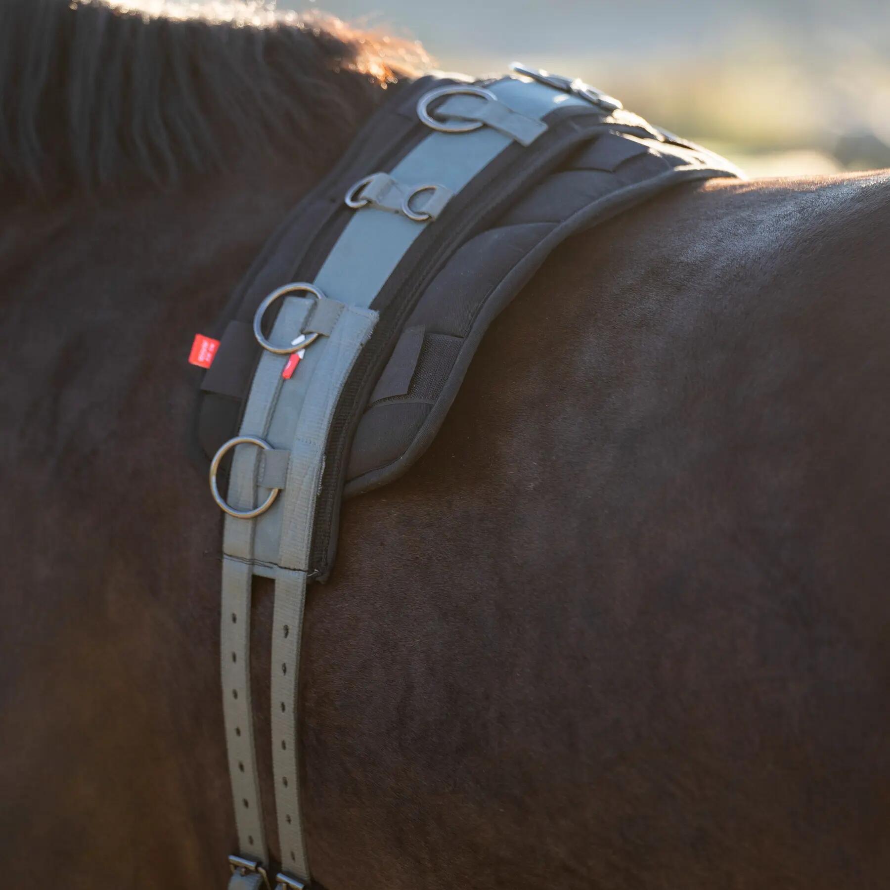 Sospensione per cavalli in nylon Imperial Riding Deluxe Extra 2/2