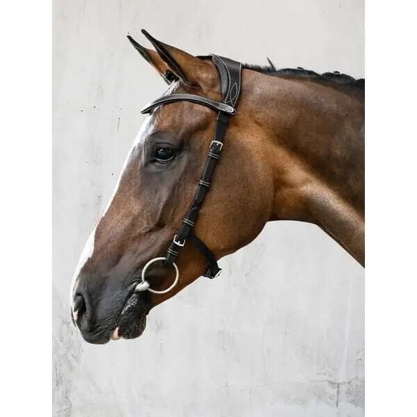 Briglia da equitazione PS of Sweden Helsinki 2/3