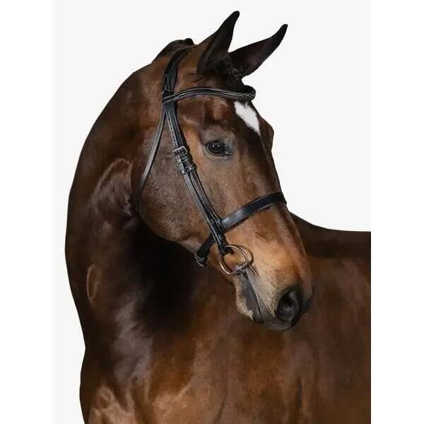 Briglia da equitazione PS of Sweden Wellington 2/3