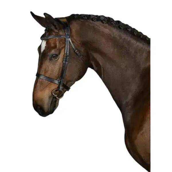 Riding bridle PS of Sweden Wellington