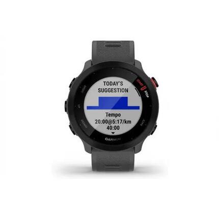Smartwatch Garmin Forerunner 55 42 mm