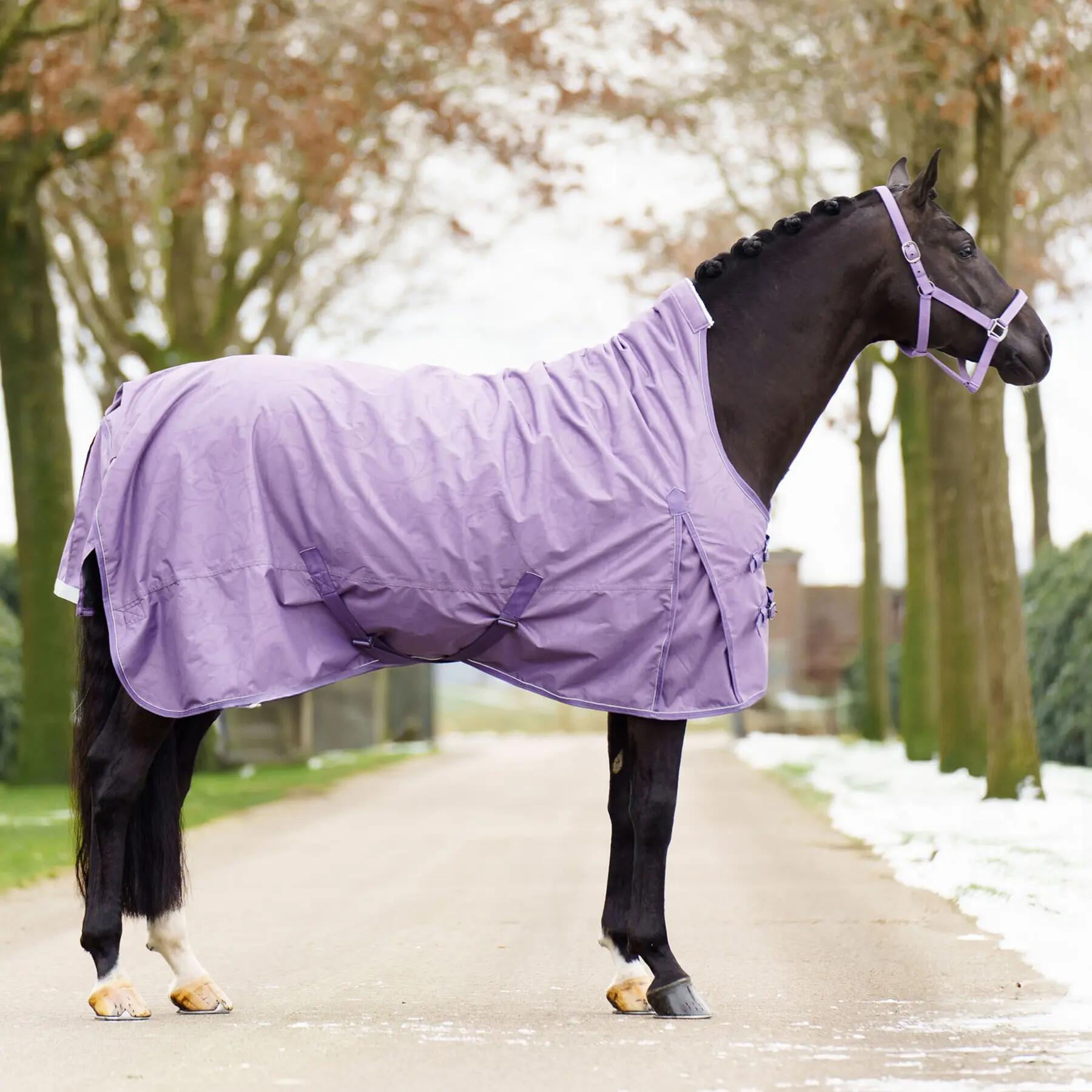 Coperta da paddock per cavalli Imperial Riding Super-dry 50g 3/7