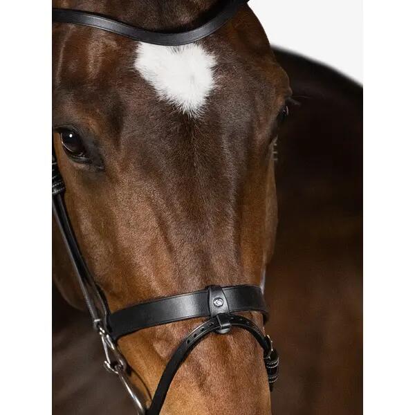 Briglia da equitazione PS of Sweden London 3/3