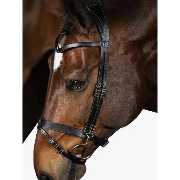 Briglia da equitazione PS of Sweden London 2/3