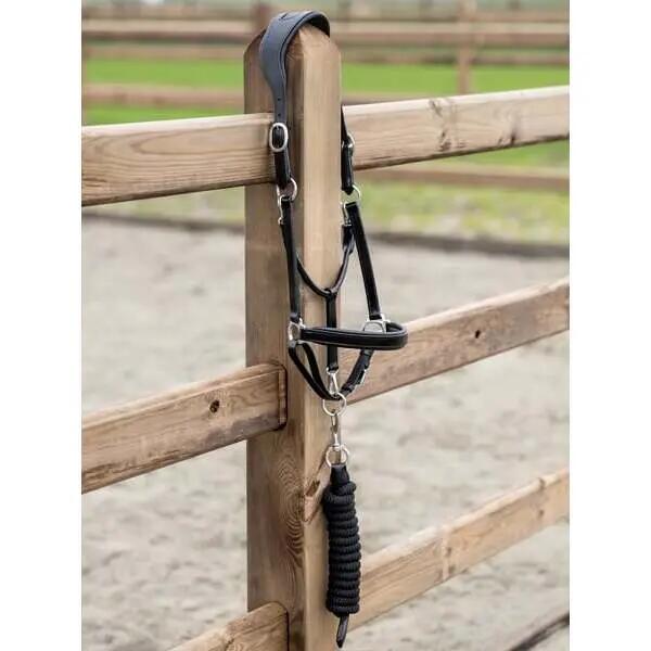 Cabestro para caballos PS of Sweden 1/3