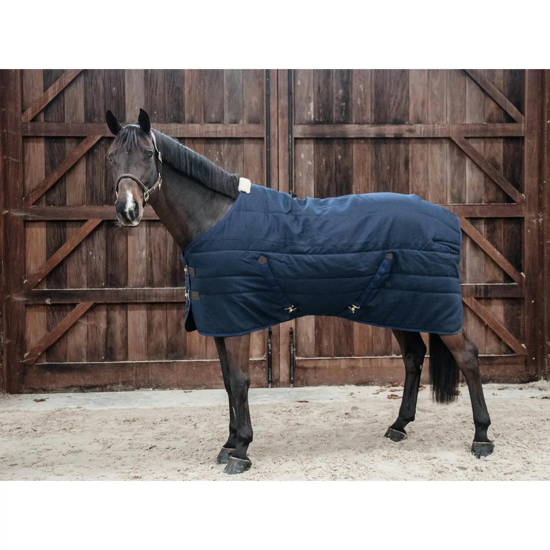Copertura stabile Kentucky Classic 100 g 2/6