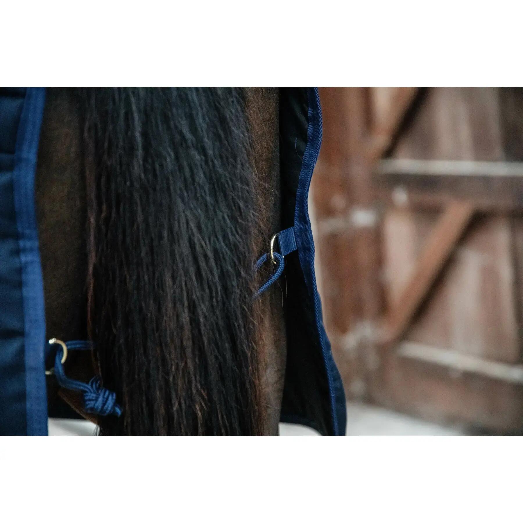 Copertura stabile Kentucky Classic 100 g 6/6