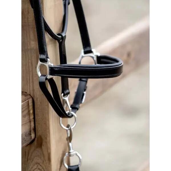 Licol pour cheval PS of Sweden 2/3
