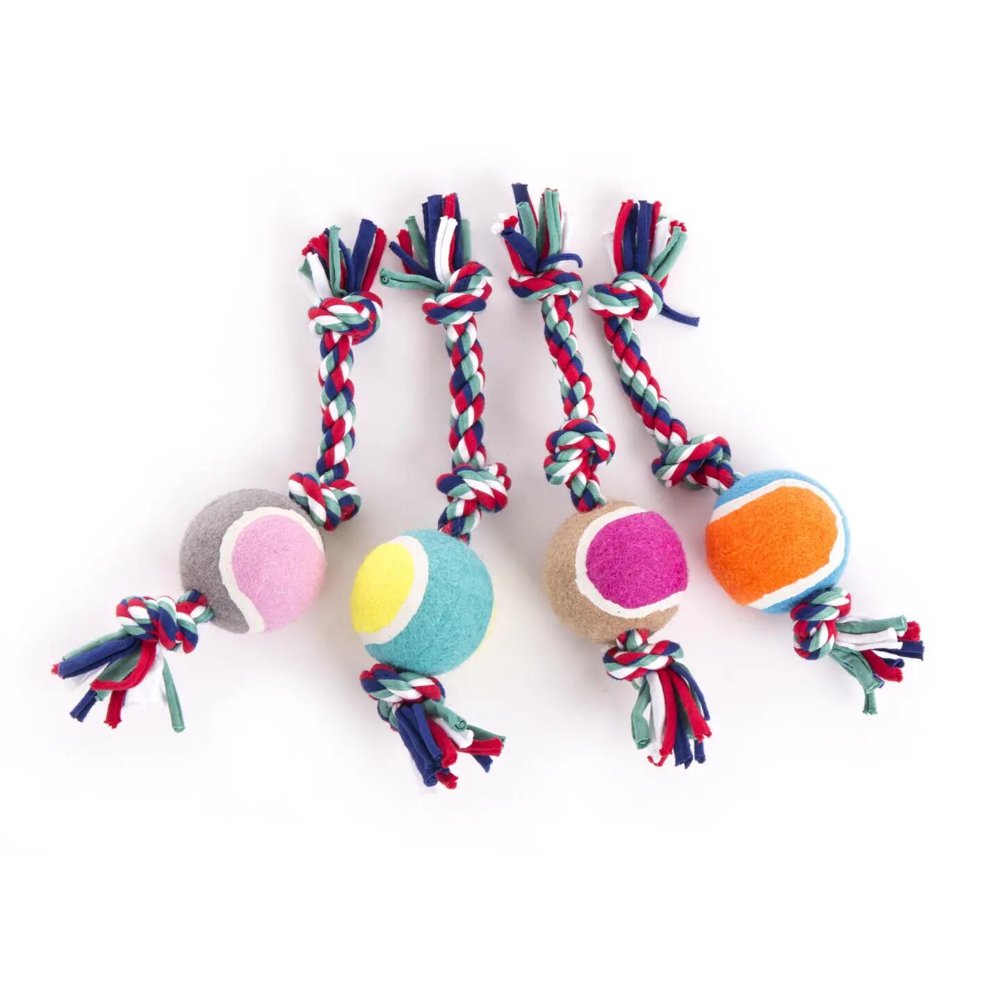 Corde pour chiot + tennis Martin Sellier 2/7