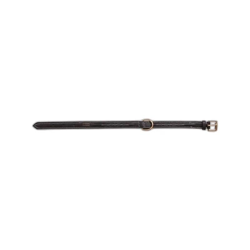 Riding Whip T de T