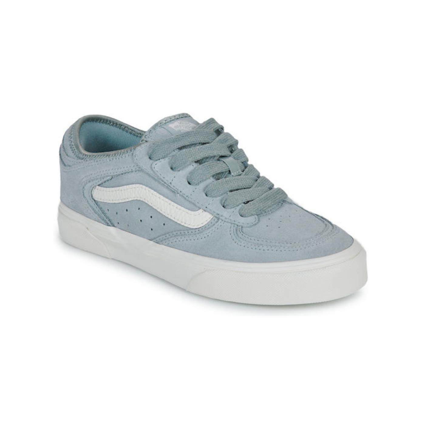 VANS picture
