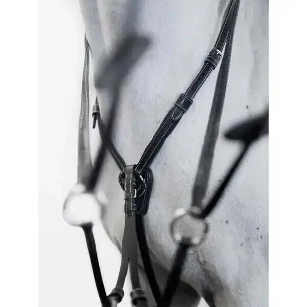 Martingale for horse PS of Sweden Seoul