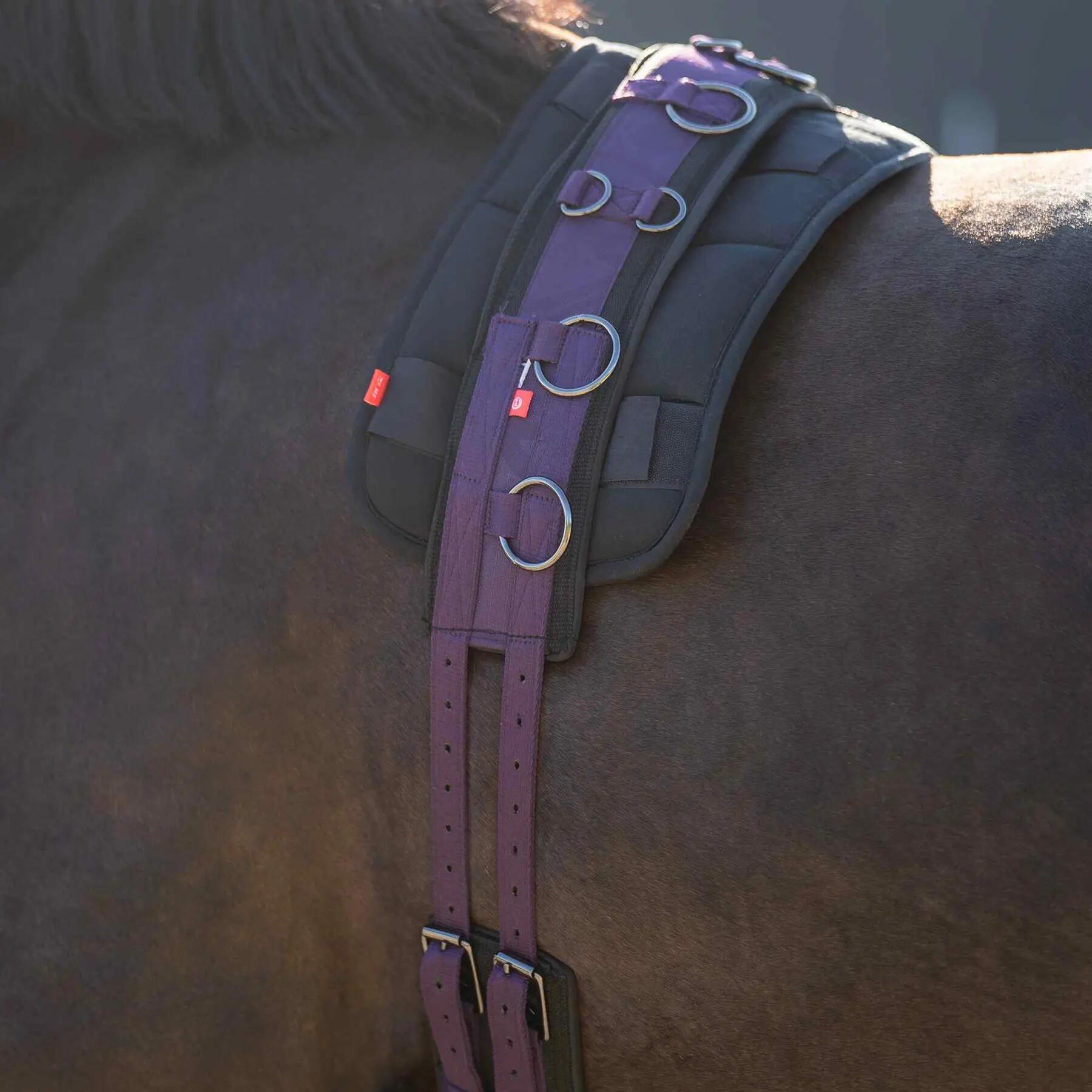 Surcingle de nylon para caballos Imperial Riding Deluxe Extra 2/2