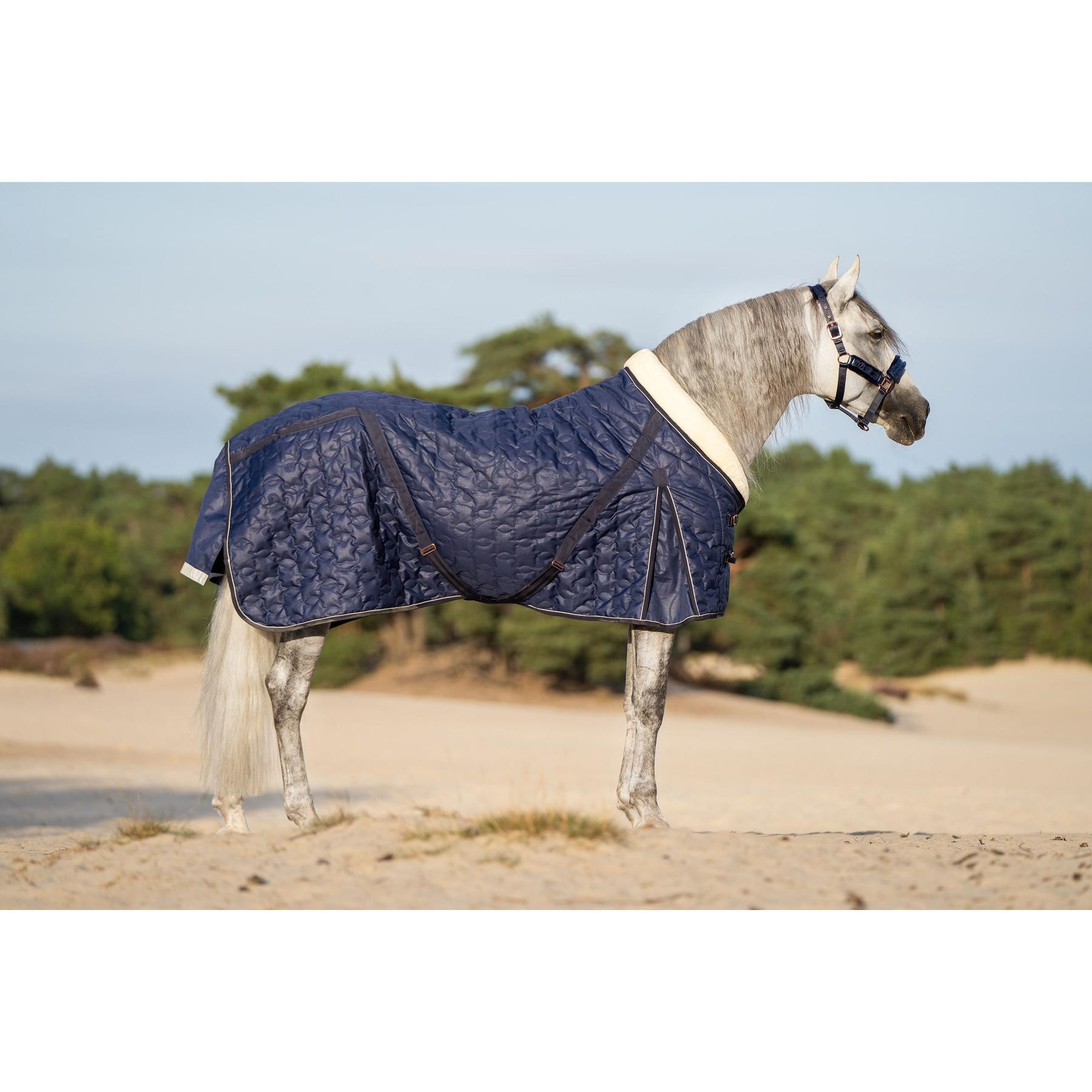 Couverture d'écurie pour cheval Imperial Riding Super-dry 100 g 3/3