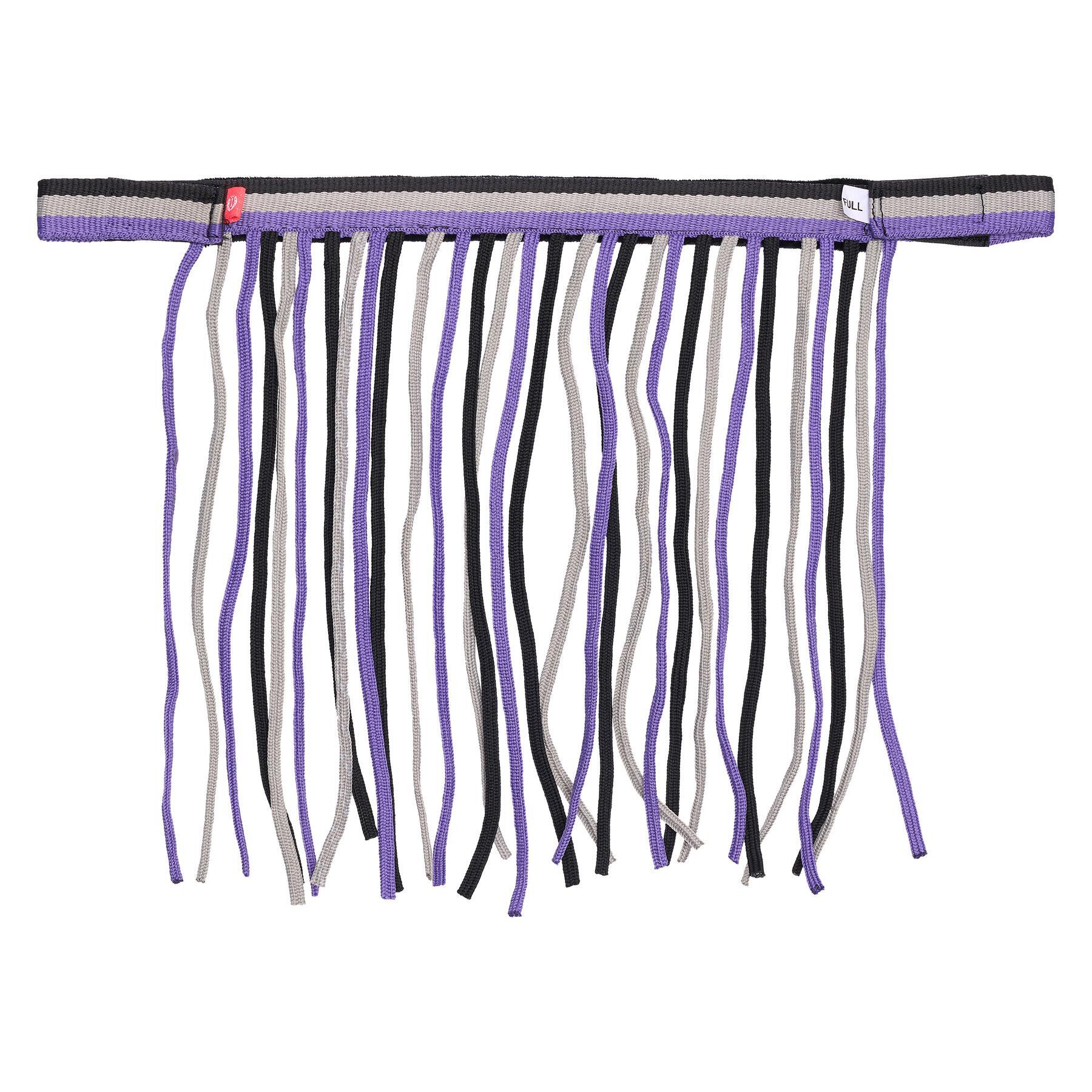 viola / viola magenta