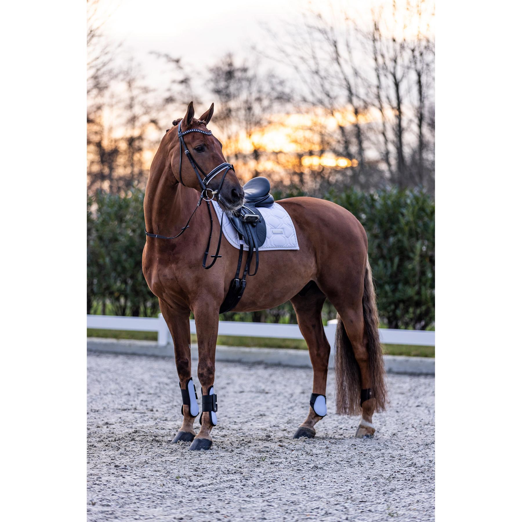 Stinchiere per cavalli chiuse Imperial Riding Lovely 3/3