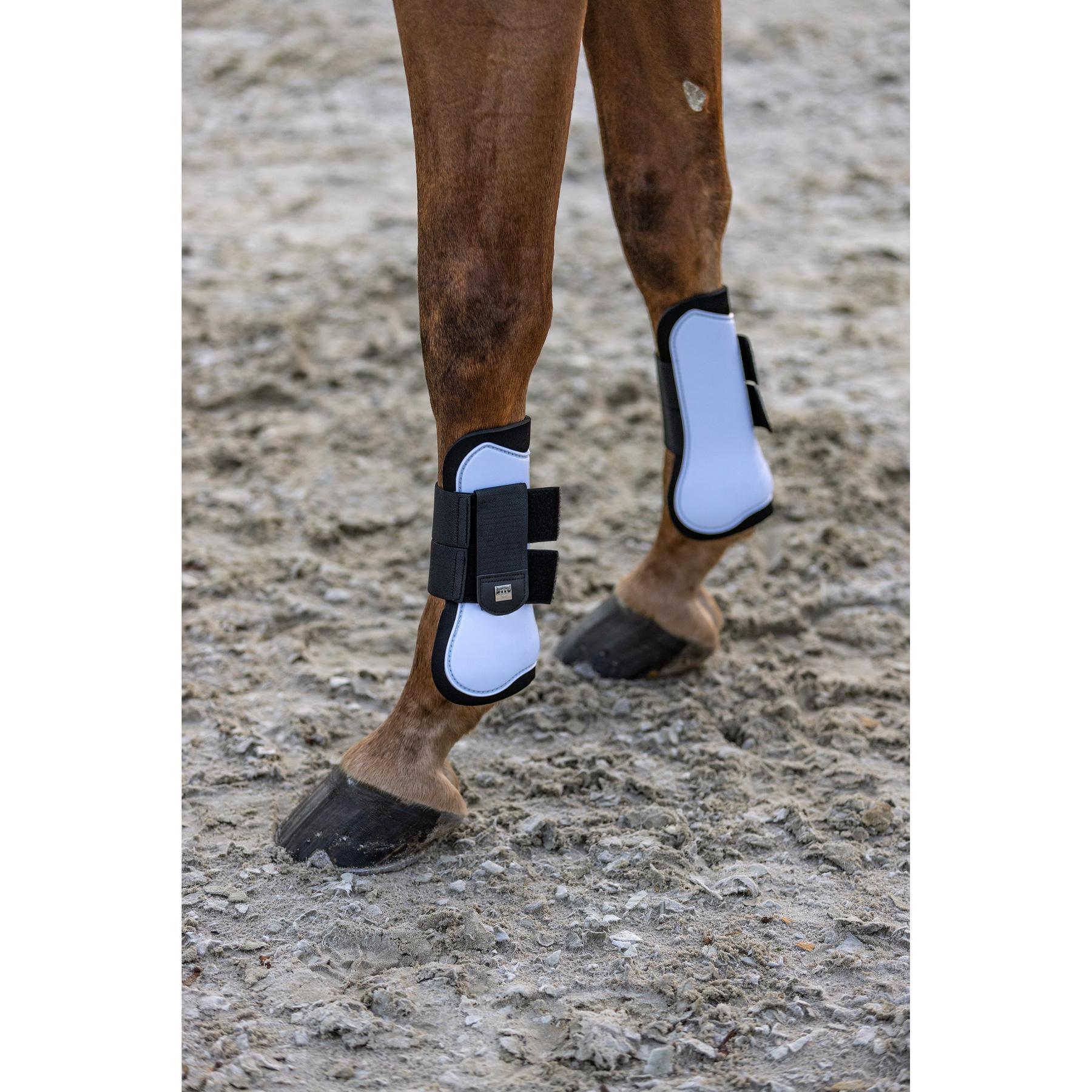 Stinchiere per cavalli chiuse Imperial Riding Lovely 2/3