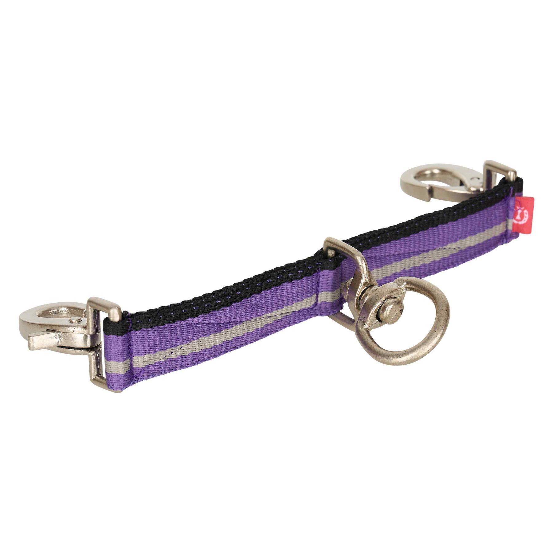 viola / viola magenta
