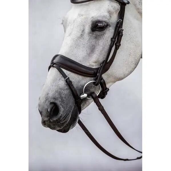 Briglia da equitazione PS of Sweden Paladin 3/3