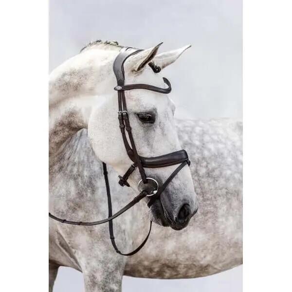 Briglia da equitazione PS of Sweden Paladin 2/3