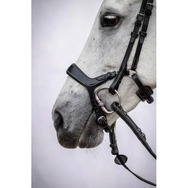 Briglia da equitazione PS of Sweden Pioneer 2/2