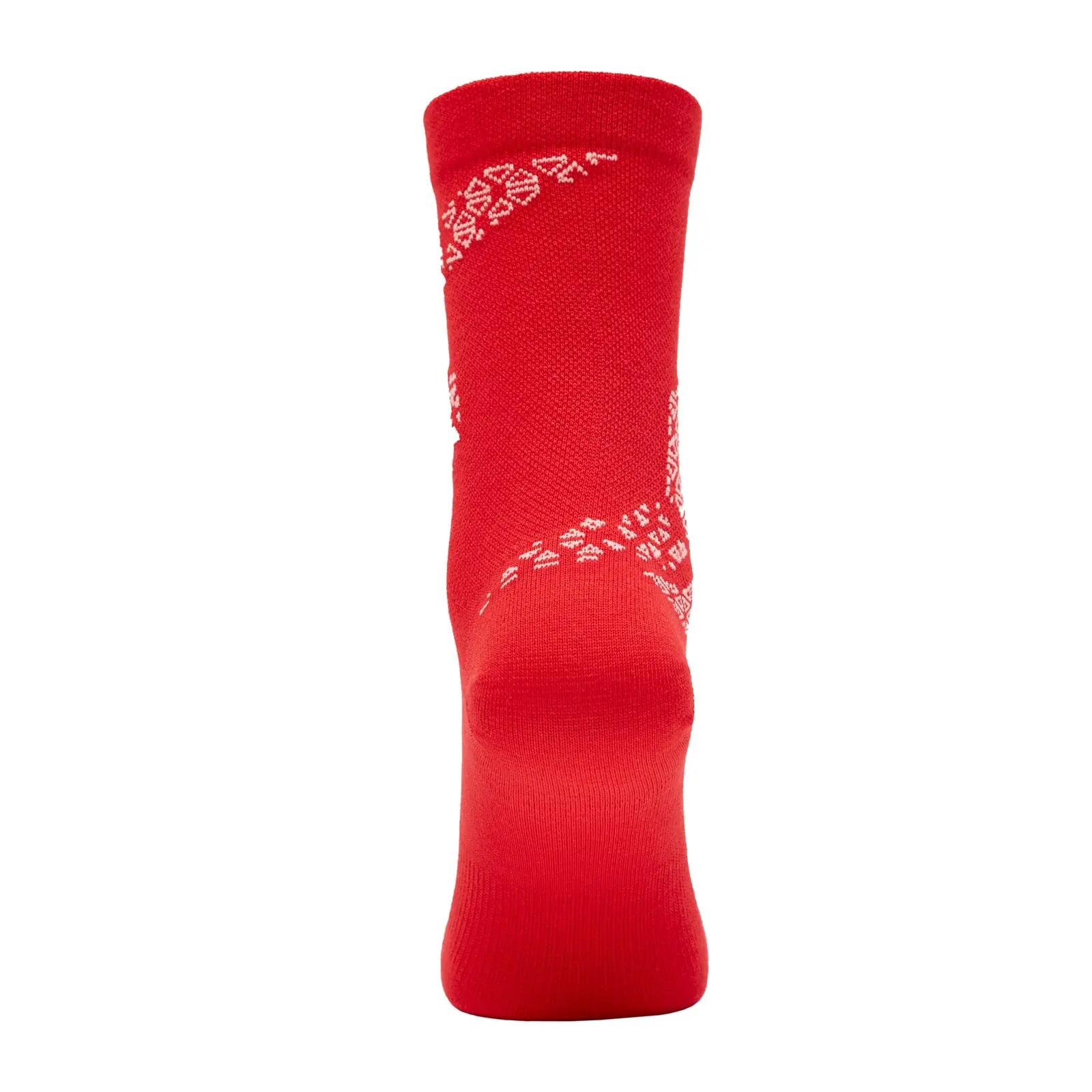 Socks Silvini Bardiga 2/3