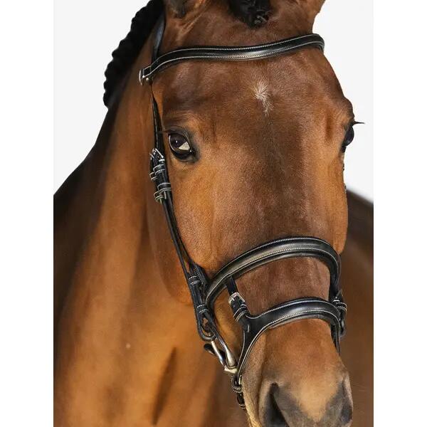Briglia da equitazione PS of Sweden Paris 3/3