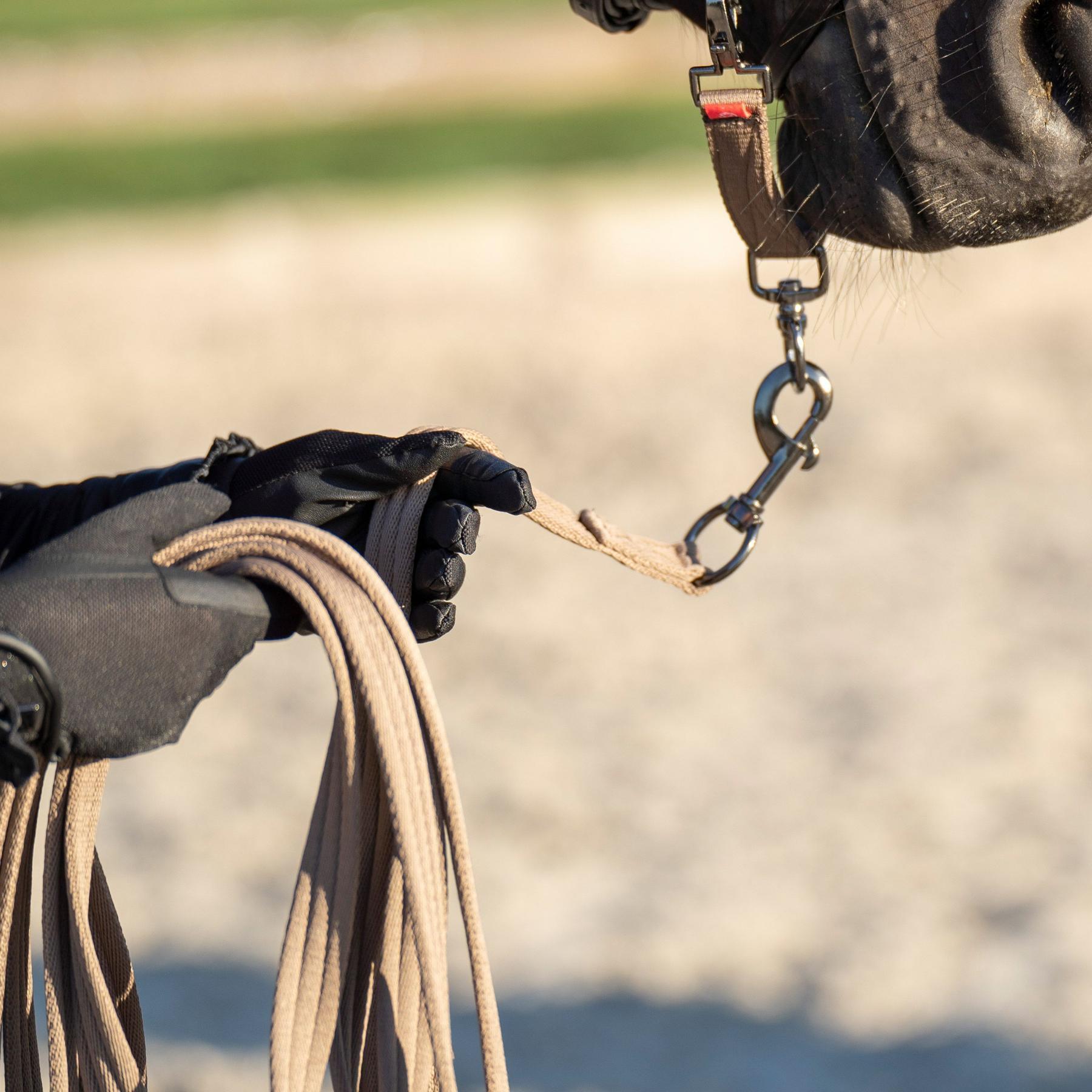Longe pour longer cheval matelassée douce Imperial Riding Extra 2/2