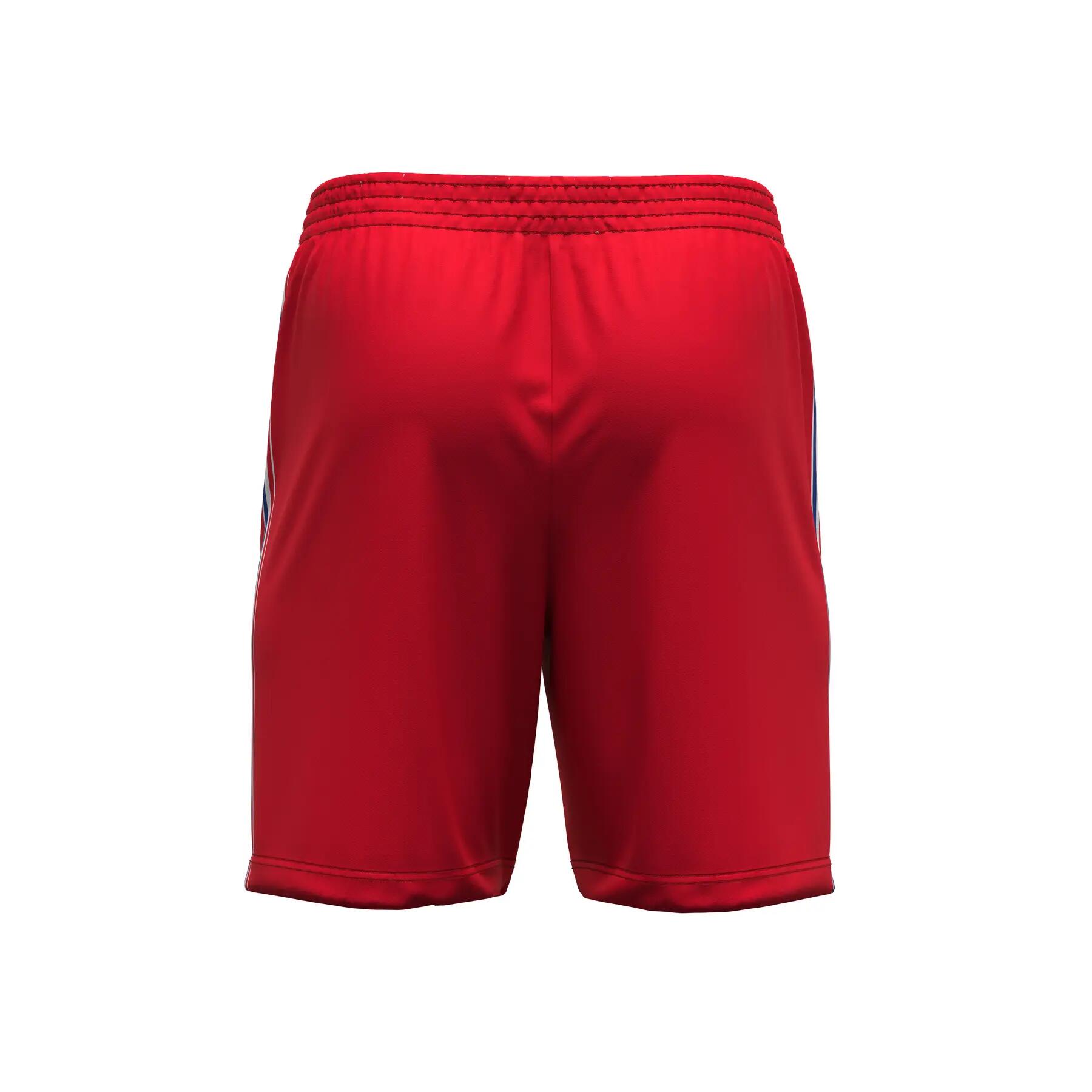 Short Libero Equipe de France Betclic 2024/25 3/3