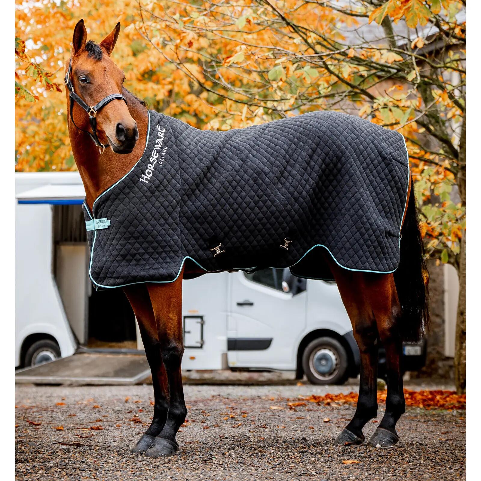 Cobertor de secagem para cavalos Horseware Autumn Cooler 2/7