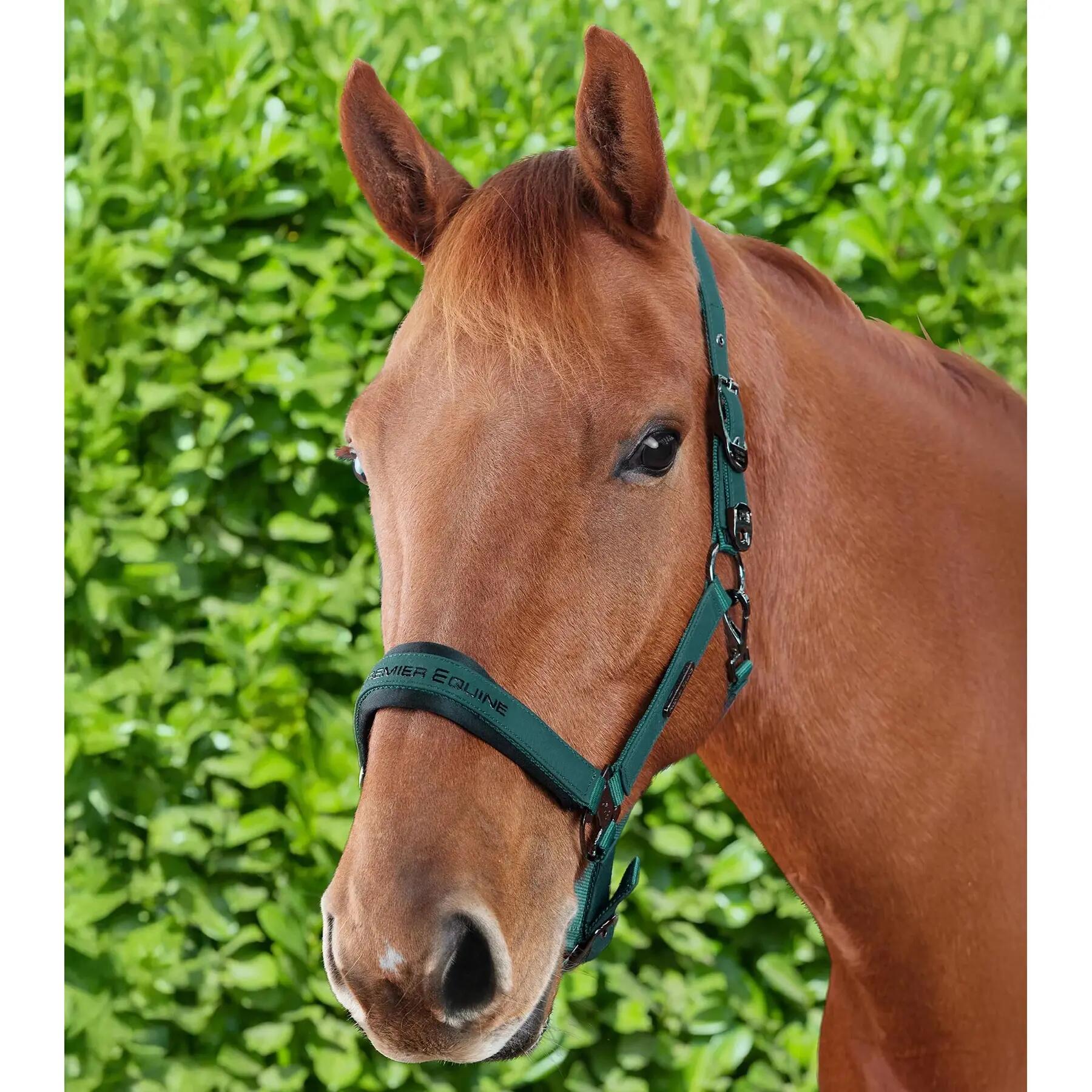 Licol nylon pour cheval Premier Equine Duco 3/6