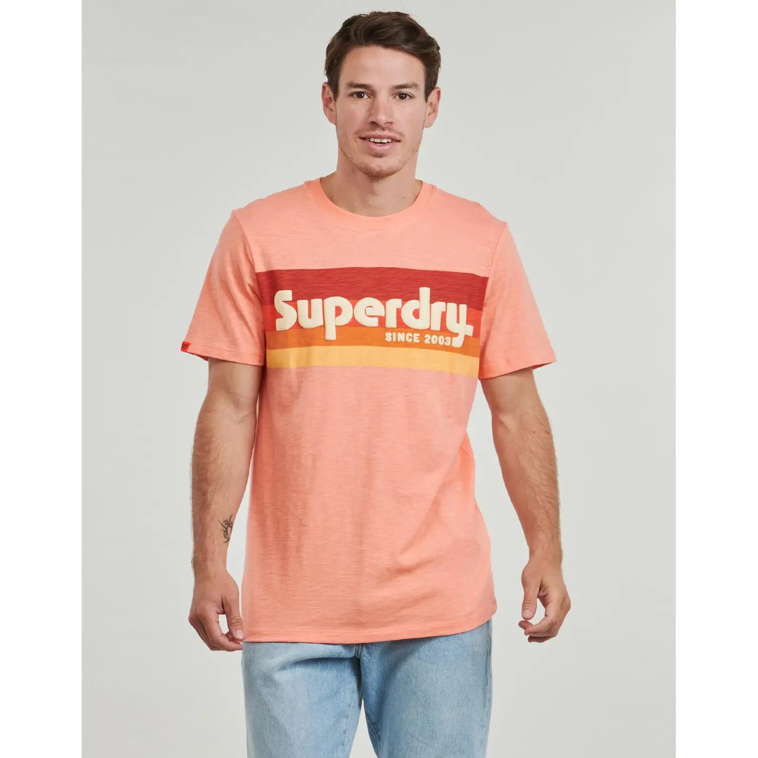 T-shirt Superdry Terrain Logo Stripe Relxed 2/5
