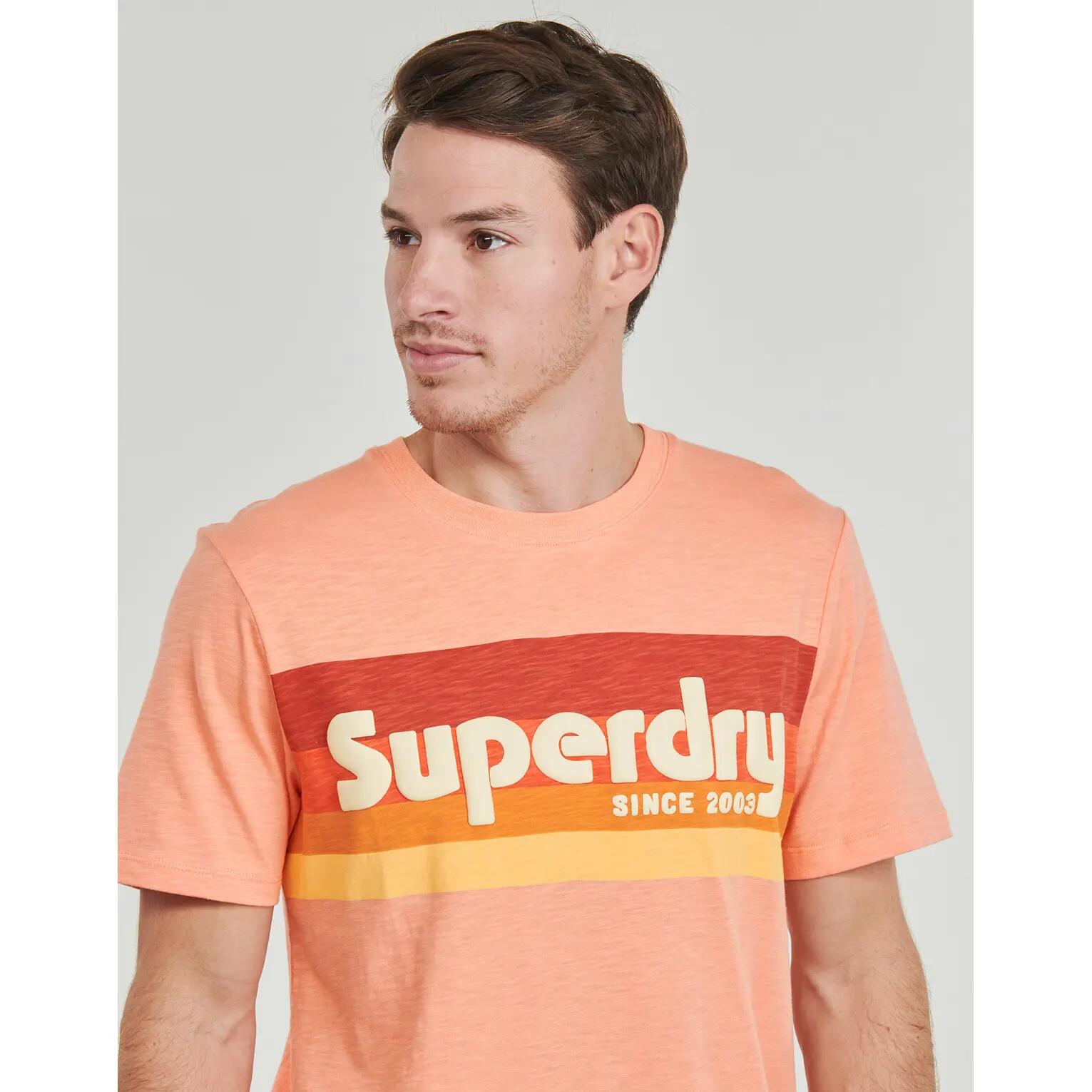 T-shirt Superdry Terrain Logo Stripe Relxed 5/5