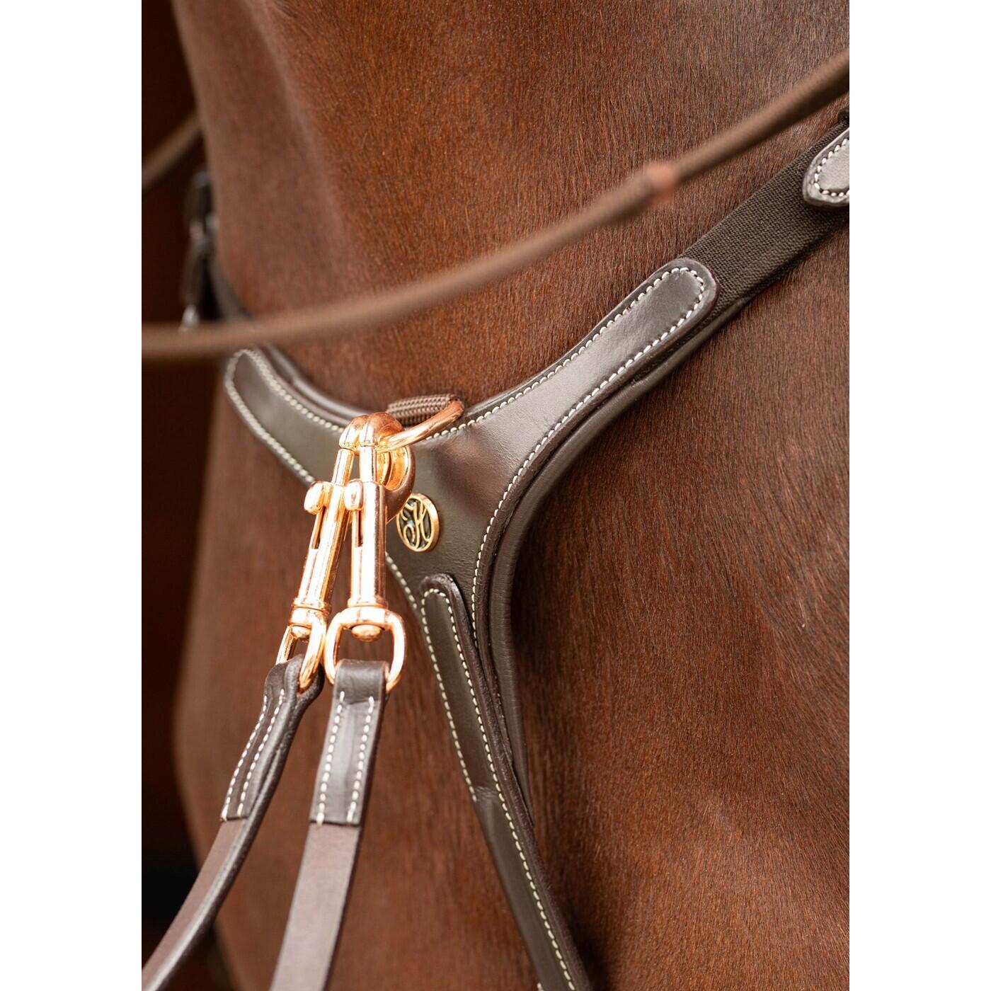 Streichkappen Harry's Horse Protech 3/3
