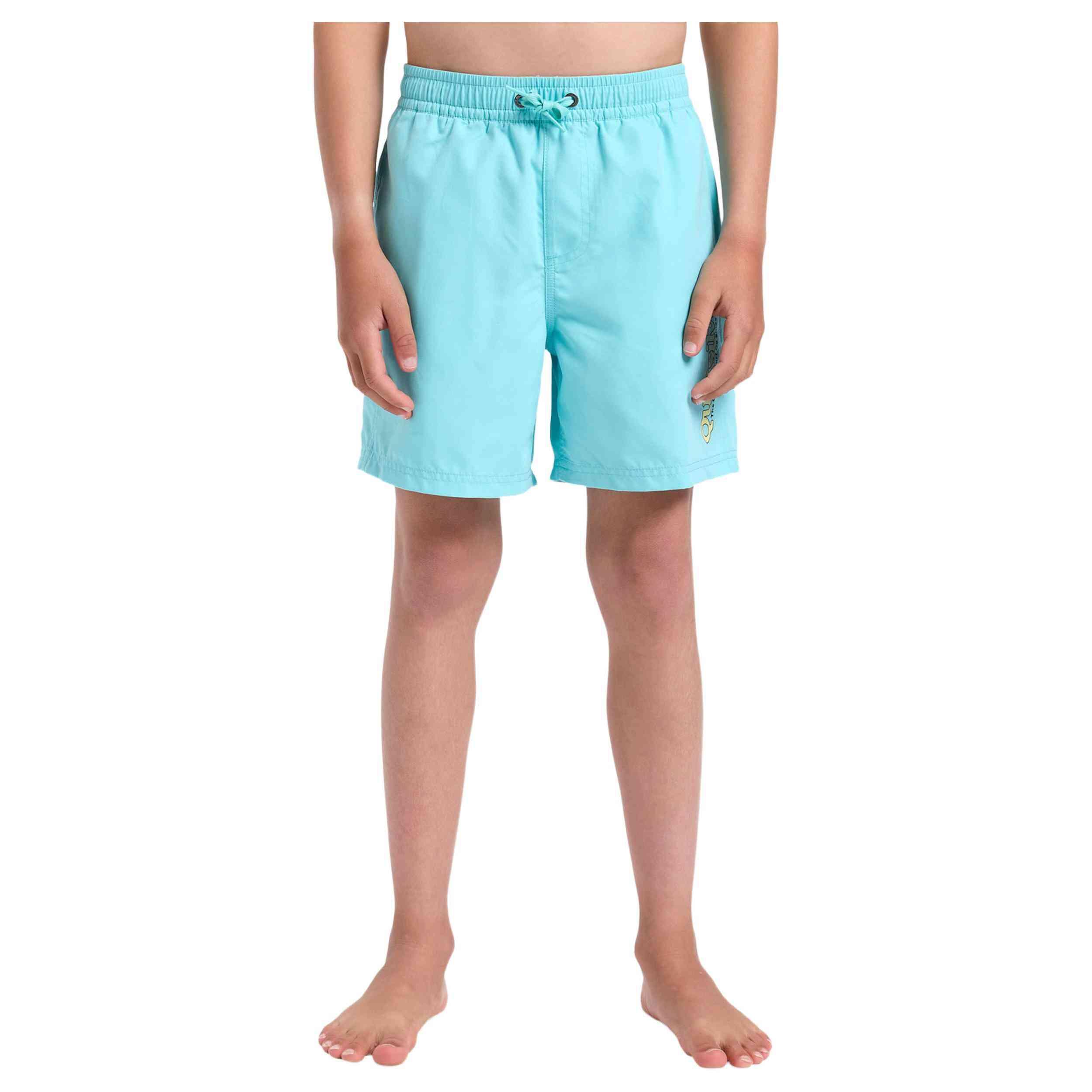 Maillot de bain Quiksilver modèle EQBJV03520-BGH0 pour enfants 1/5
