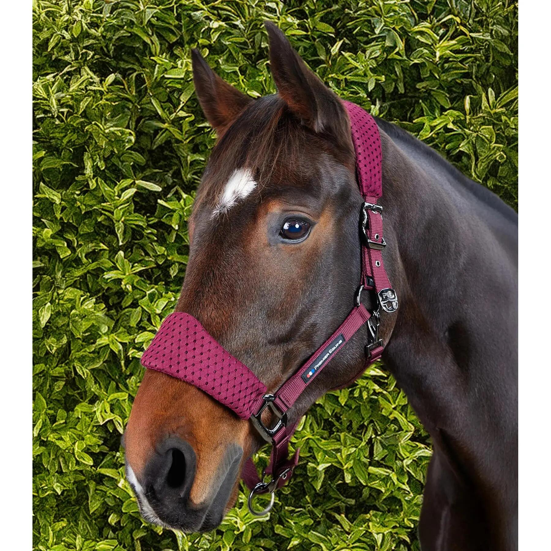 Licol nylon pour cheval Premier Equine Necto 3D 2/6