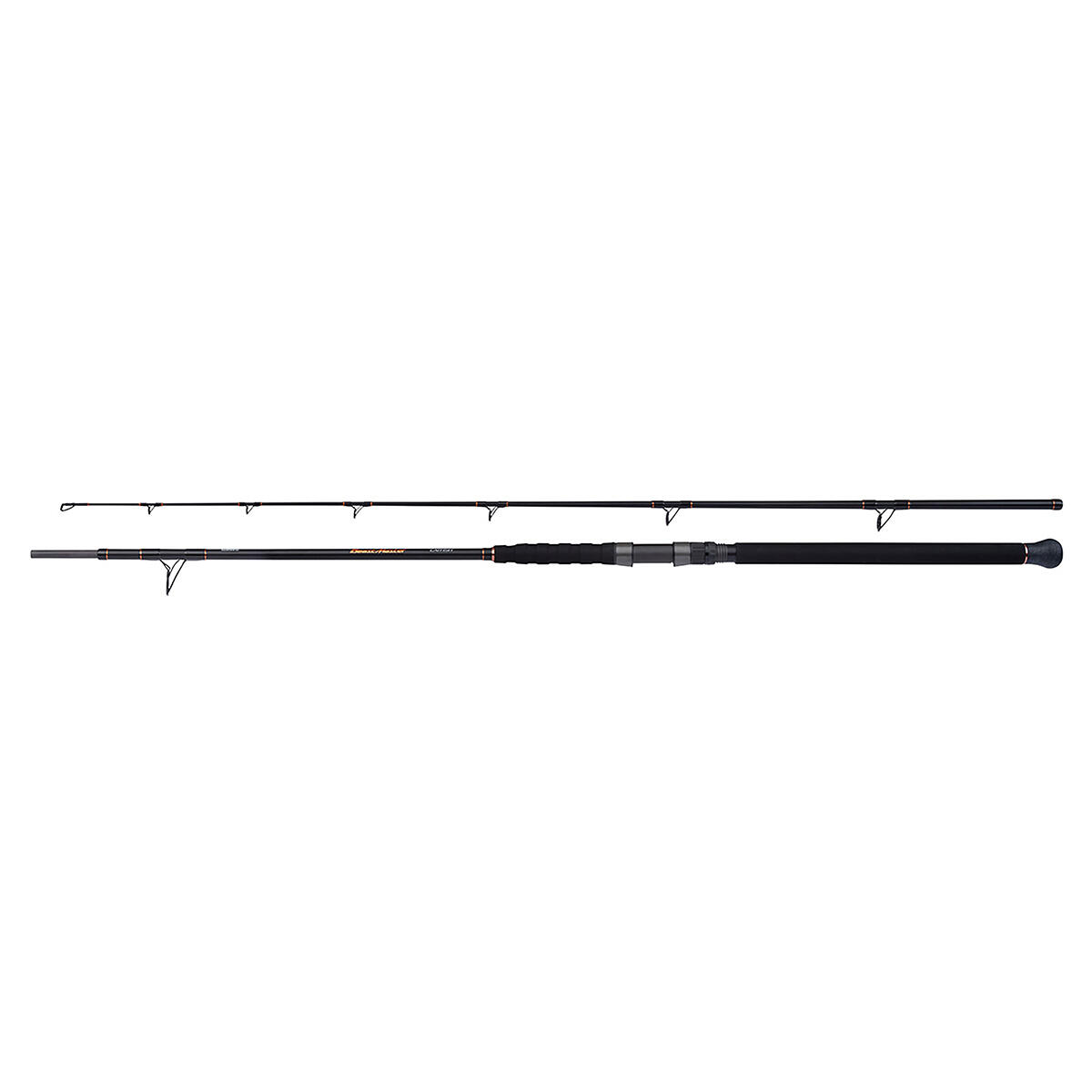 Spinhengel Shimano Beastmaster Catfish Multi 200g 1/1