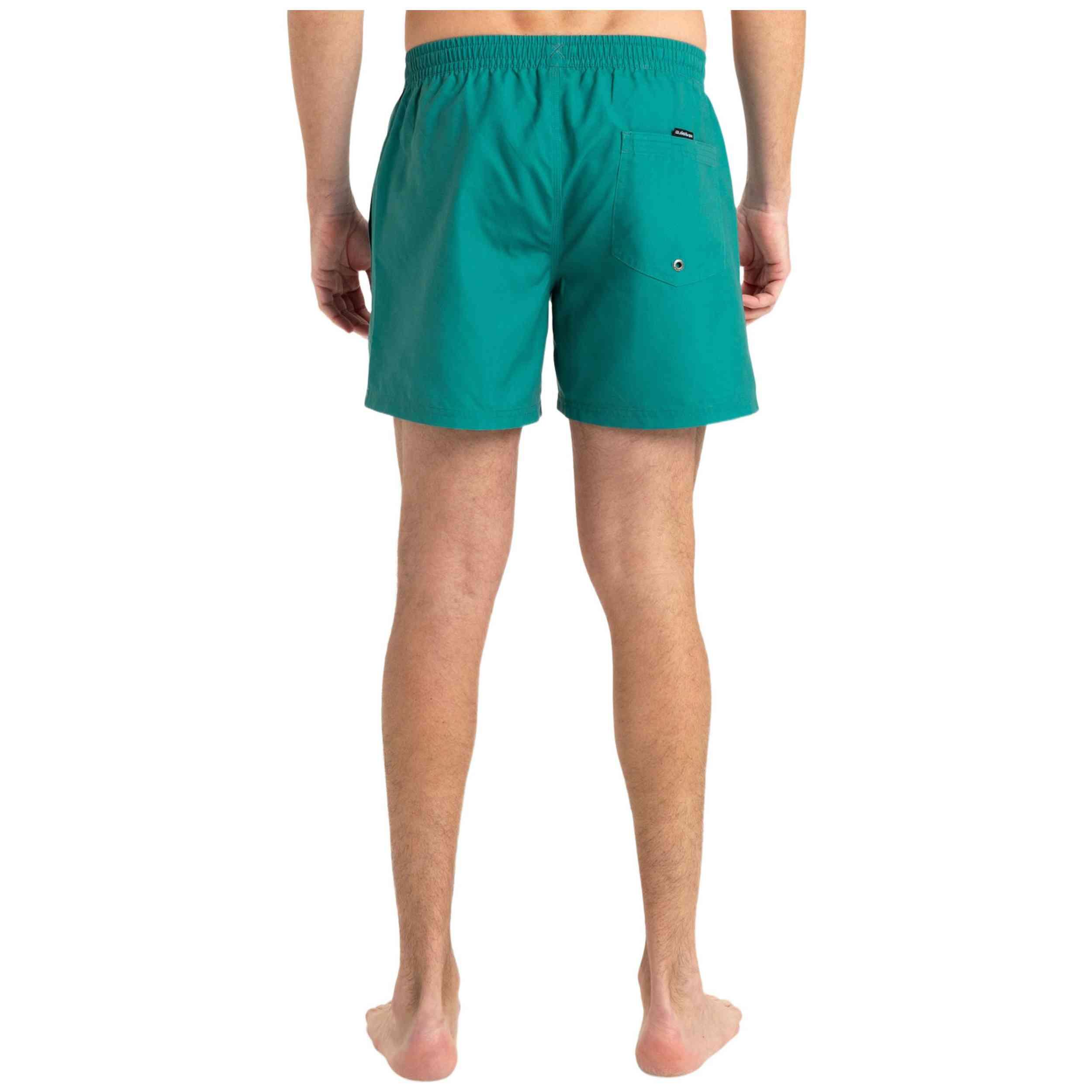 Traje de banho Quiksilver modelo EQYJV04120-TEAL para homem 5/5
